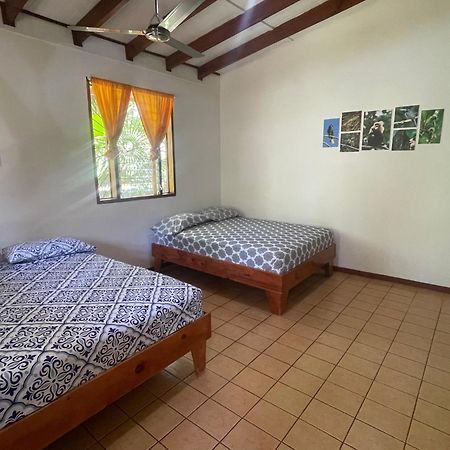 Cabinas Caribe Luna Cahuita Exteriör bild