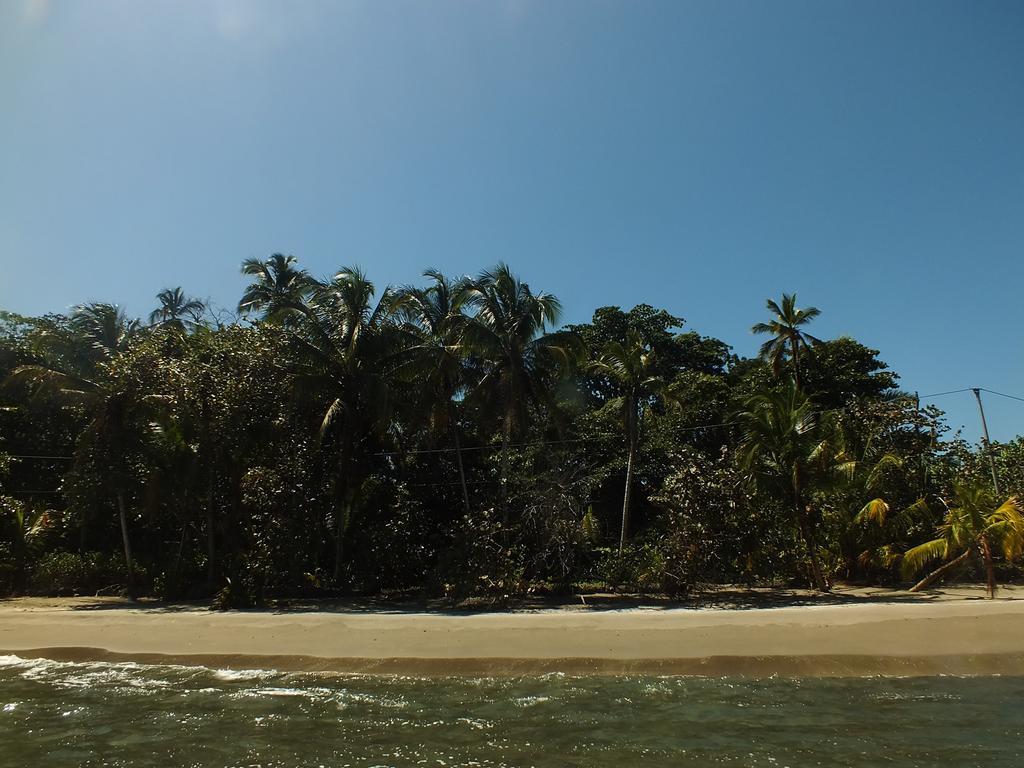 Cabinas Caribe Luna Cahuita Exteriör bild