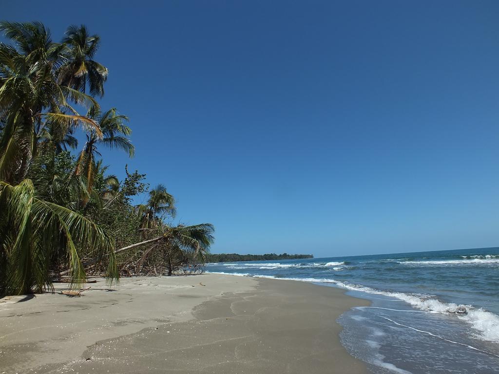 Cabinas Caribe Luna Cahuita Exteriör bild