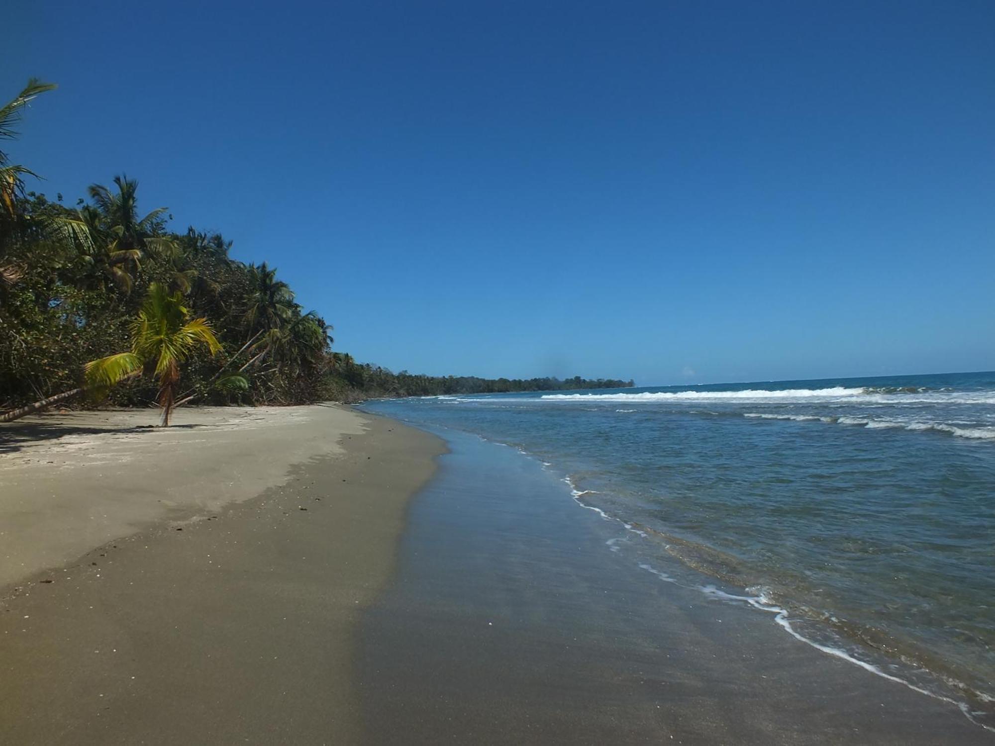 Cabinas Caribe Luna Cahuita Exteriör bild