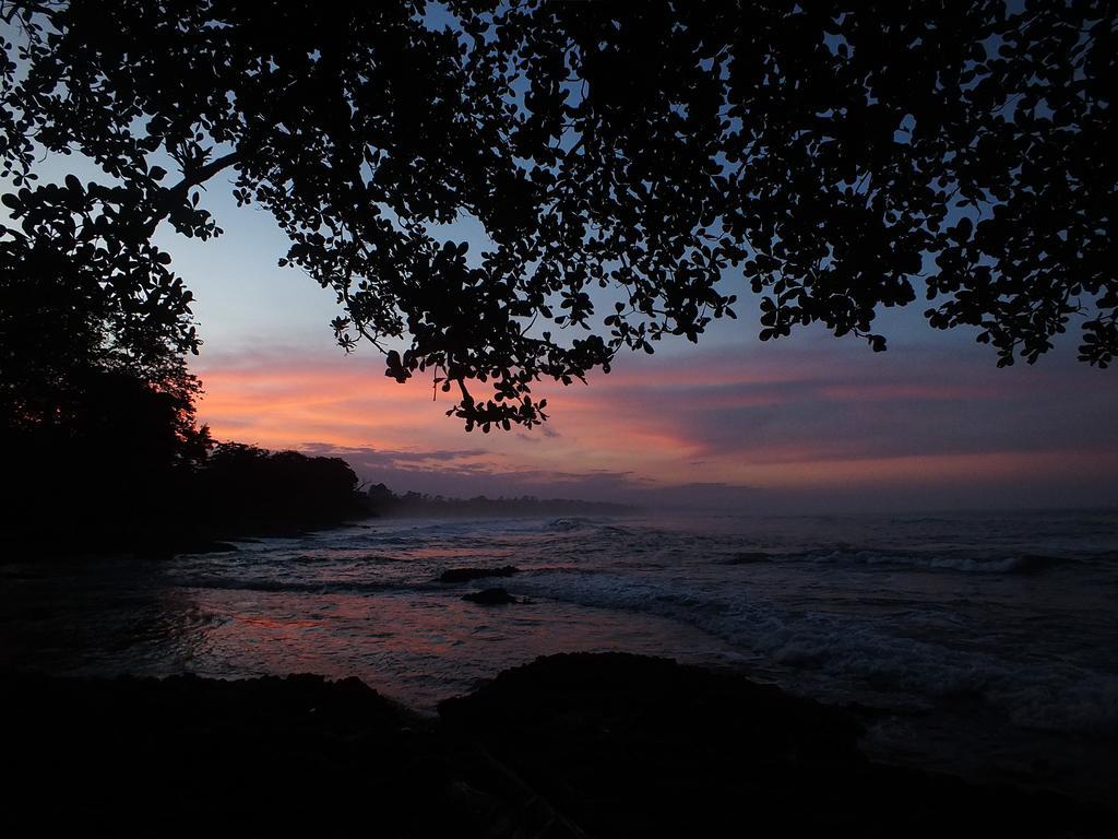 Cabinas Caribe Luna Cahuita Exteriör bild