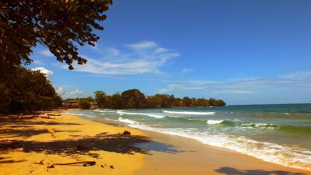 Cabinas Caribe Luna Cahuita Exteriör bild
