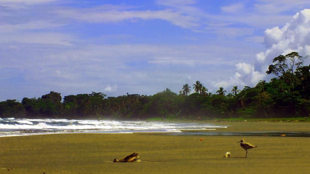 Cabinas Caribe Luna Cahuita Exteriör bild