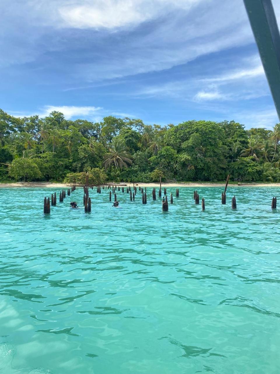 Cabinas Caribe Luna Cahuita Exteriör bild