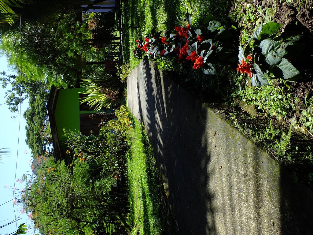 Cabinas Caribe Luna Cahuita Exteriör bild