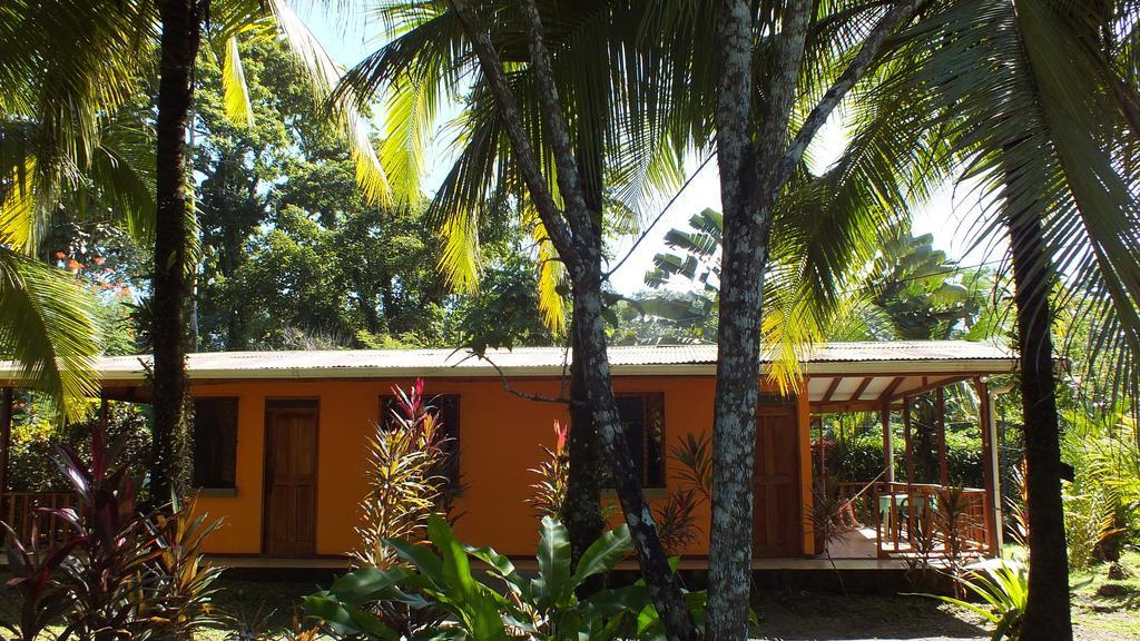 Cabinas Caribe Luna Cahuita Exteriör bild