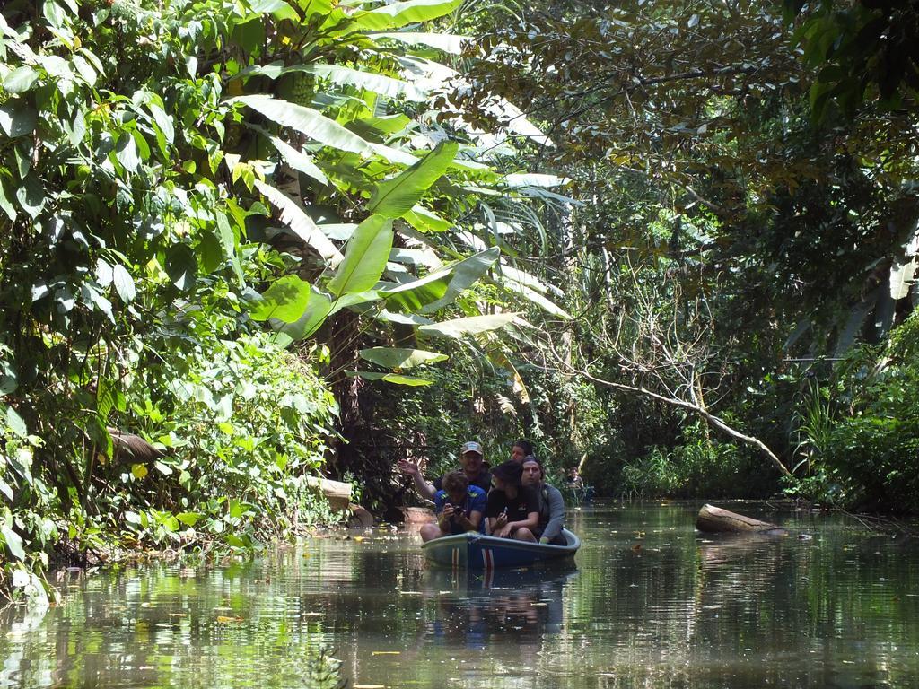 Cabinas Caribe Luna Cahuita Exteriör bild