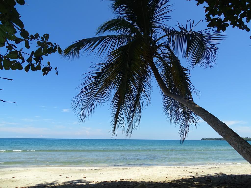 Cabinas Caribe Luna Cahuita Exteriör bild