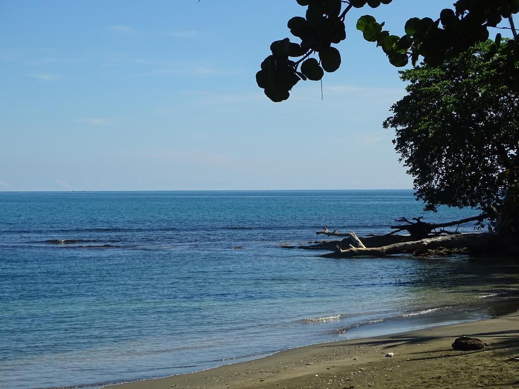 Cabinas Caribe Luna Cahuita Exteriör bild