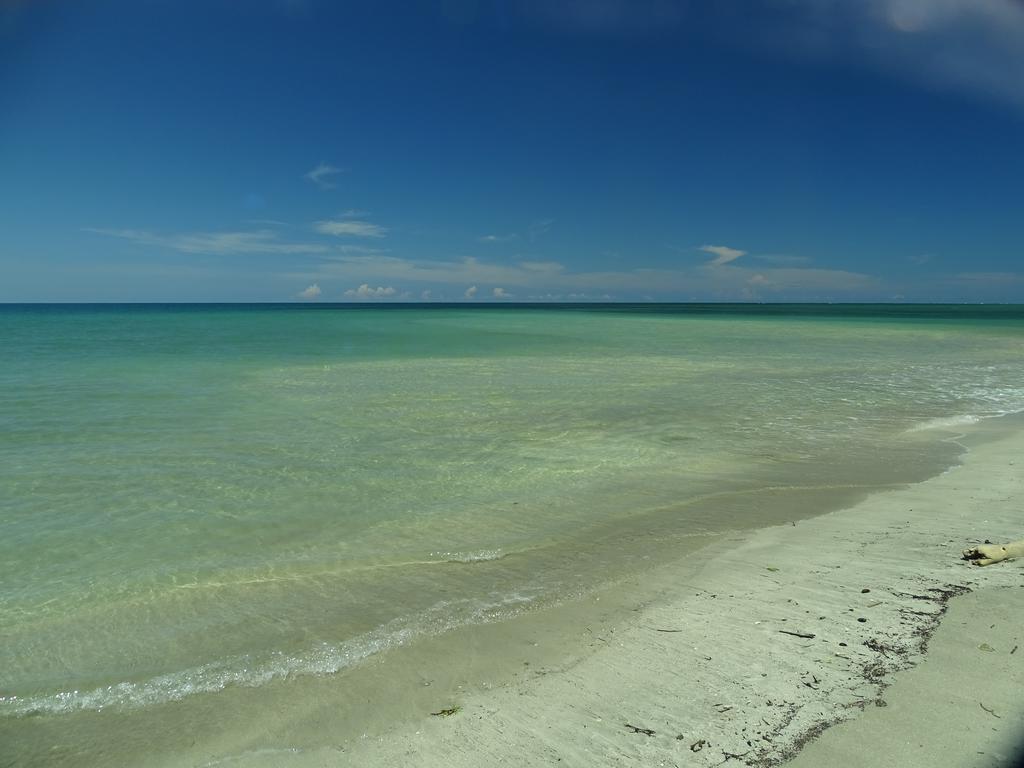 Cabinas Caribe Luna Cahuita Exteriör bild