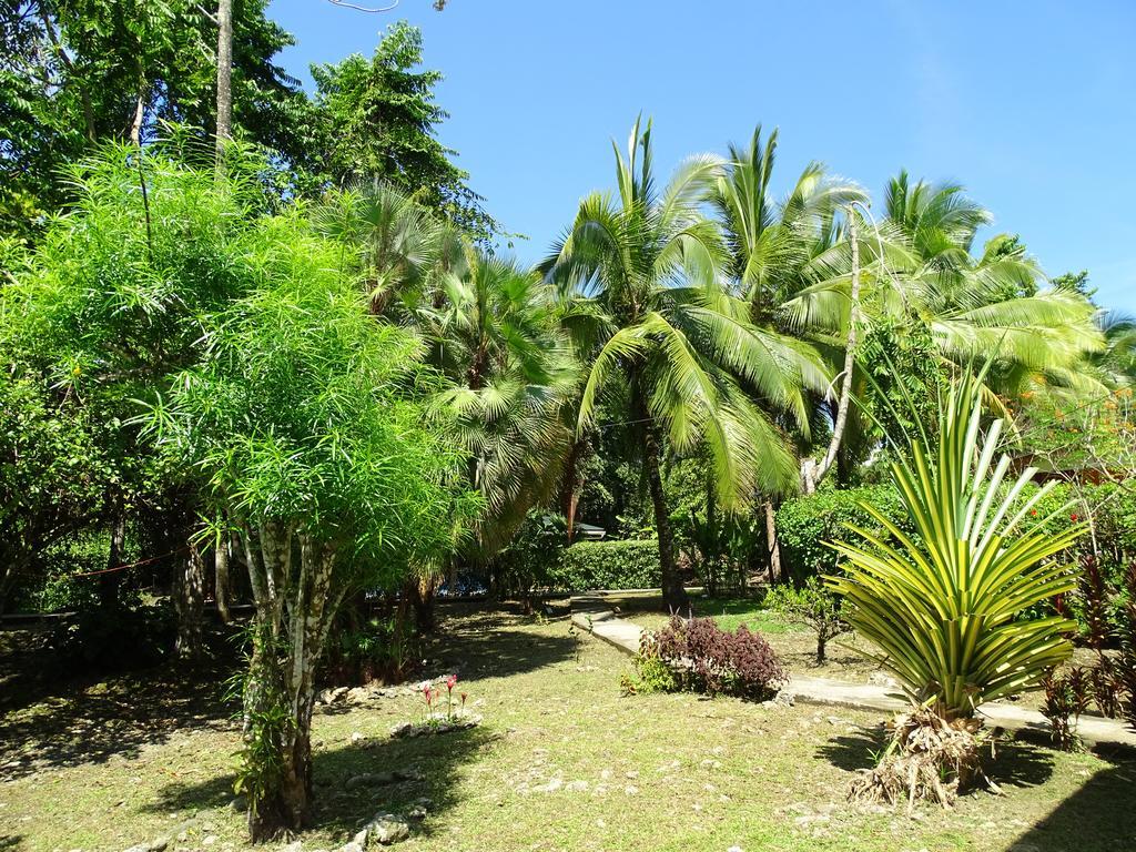 Cabinas Caribe Luna Cahuita Exteriör bild