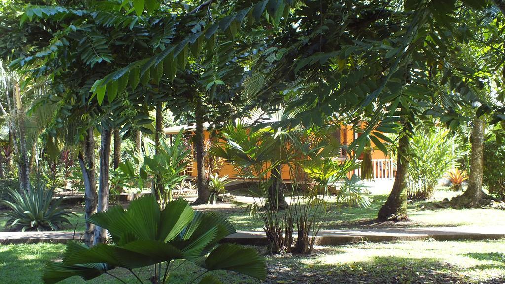 Cabinas Caribe Luna Cahuita Exteriör bild